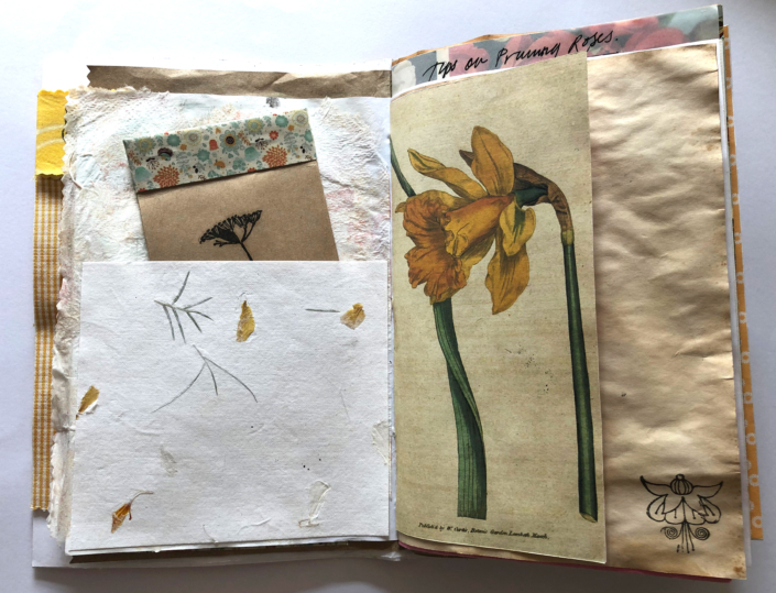 Daffodil-Page