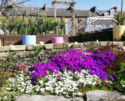 Garden17