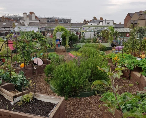 Garden31