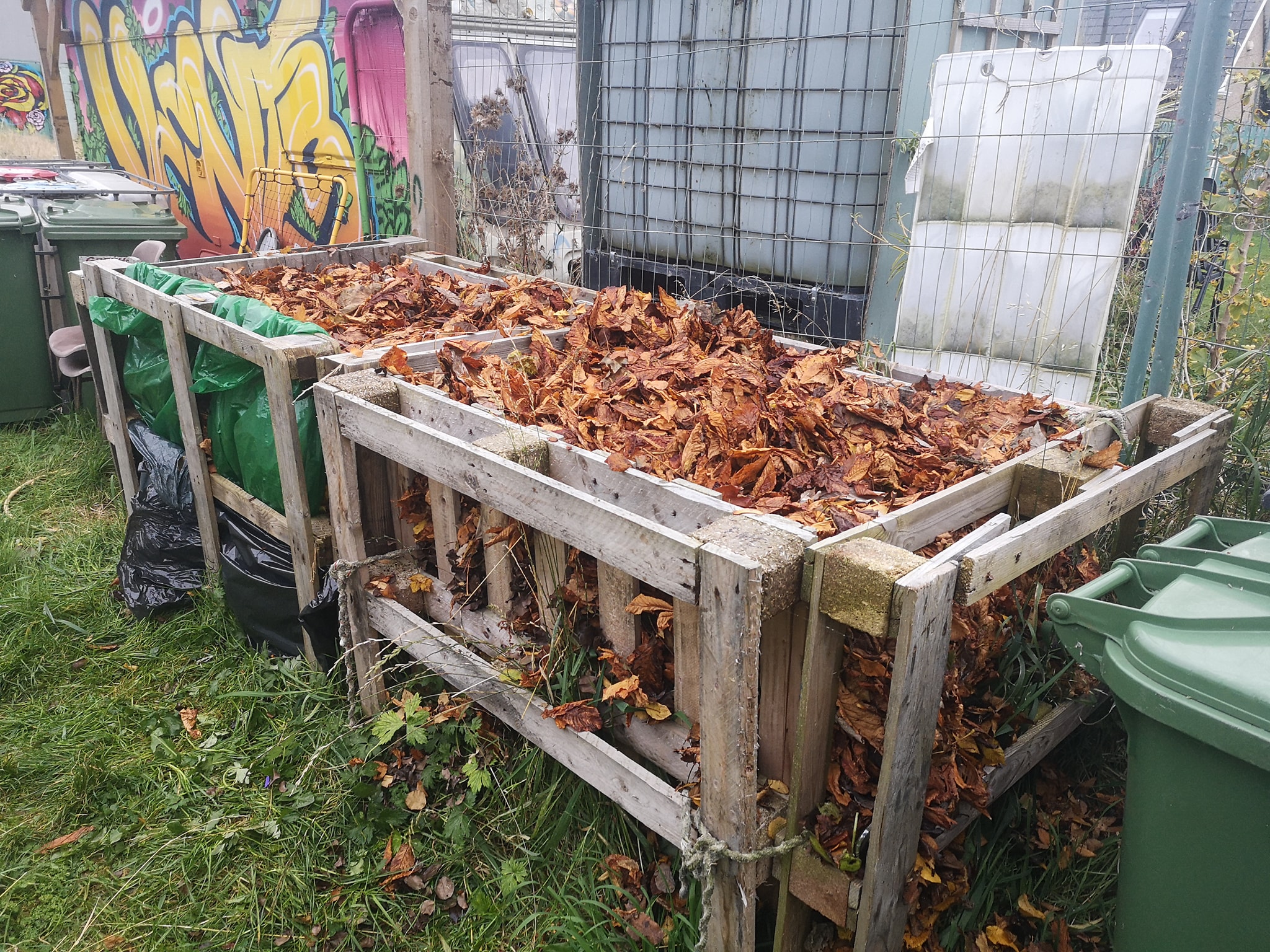 leafmould2